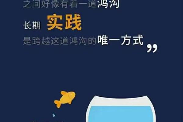 35码鞋子揭示的秘密：你不知道的命运和运势