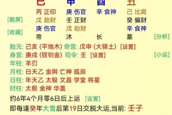 鸡年出生的人命理解析：解锁命运的秘密与运势提升方法