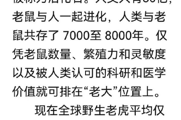 1996年属鼠人的命运与人生智慧揭秘