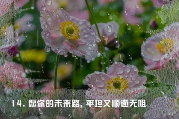 福星命的魅力：如何让幸运与幸福常伴你我？