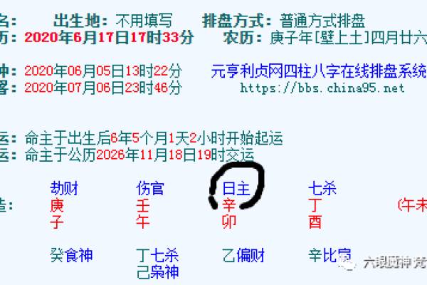 2010年命运的多维探索：从五行属性看生活的精彩与挑战