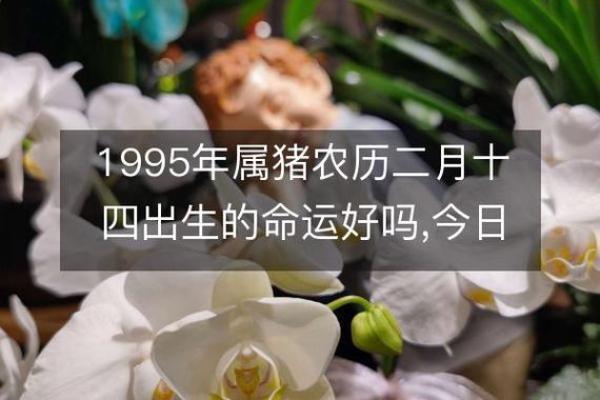 根据出生年对命运的影响：哪一年出生最好？