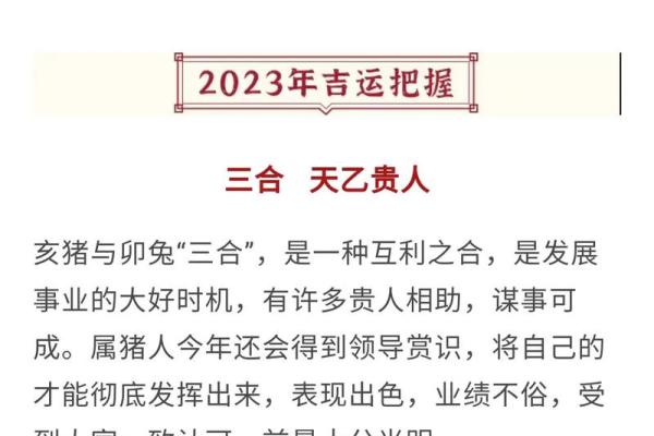 71年属猪的命运与未来：探寻生肖的深层含义与启示