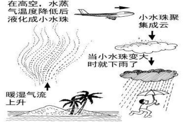 1974年水命的命理解析：生活中的水的奇妙运用与影响