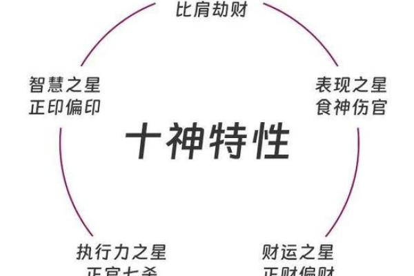 2019年土命解析：运势、性格与生活的内在联系