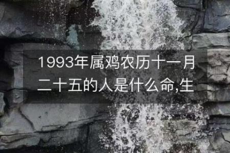 1998年属鸡人的命运与性格分析