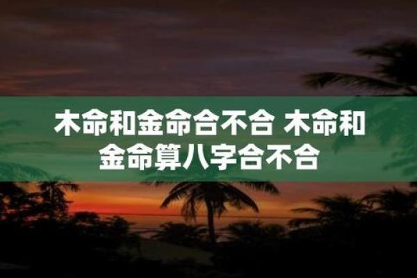 金命人及命相冲的秘密，揭示运势与命理的深刻联系！