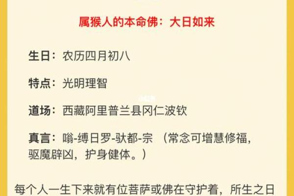 2015年出生人的性格与命运解析：揭示命理的奥秘与人生的可能性