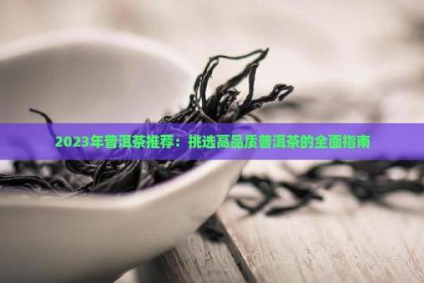 水中金命：如何提升运势与生活品质的全面指南