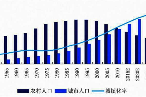 了解1958年6月中国农村的变化：一个时代的回顾与反思