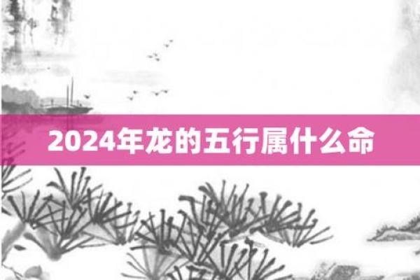 64年属龙人适合的命理解析与事业方向探讨