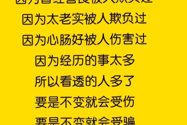 2008年5月震撼心灵的回忆：一场自然的考验与人性的光辉