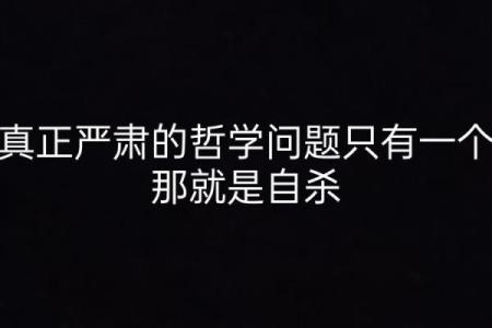 搏命的几秒：生命真相与生存的哲学探索