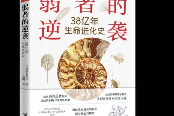 1987年命人：生命之路与性格成长的探索