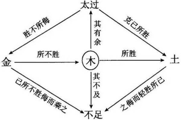 木火刑金：探寻五行命理中的奥秘与平衡