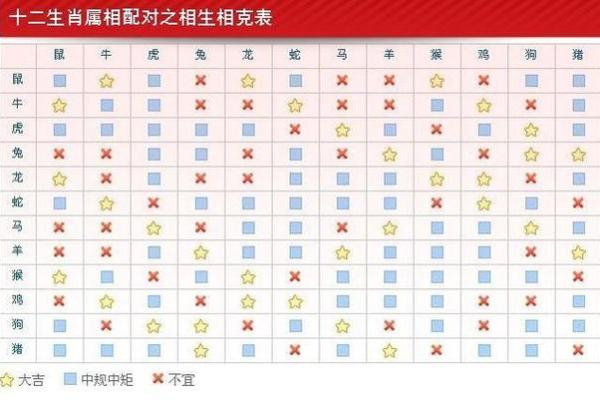 1995年出生的人 属相与命理解析