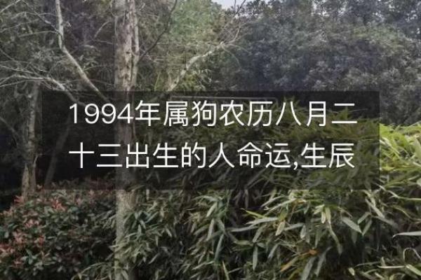 探索砂中土命与生肖之间的神秘联系