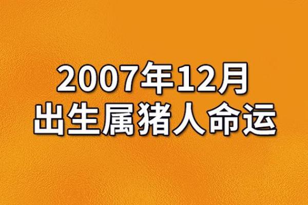 1935年属猪人的命运与性格解析