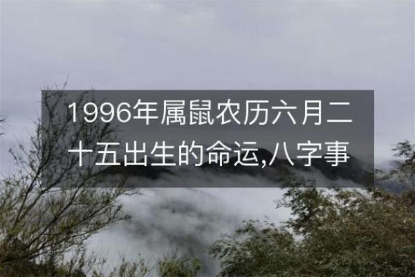 1996年出生的人命运解析：属于什么命，未来如何发展？