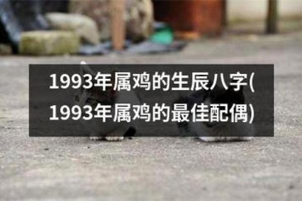 93年属鸡人命运解析：从五行八字看人生轨迹与未来运势