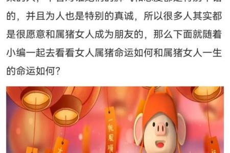 为什么属猪的人总是操心命？探秘他们的命运密码