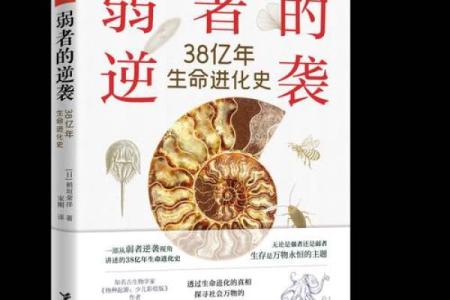 1987年命人：生命之路与性格成长的探索