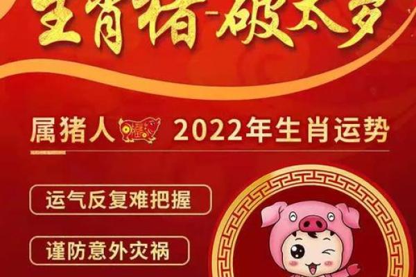 属狗之人2018年命运解析：开运宝典与人际关系秘笈