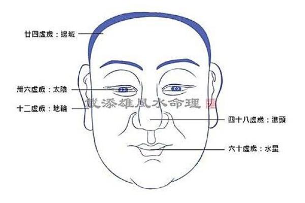 1967年出生的人命理解析：一生的运势与特质