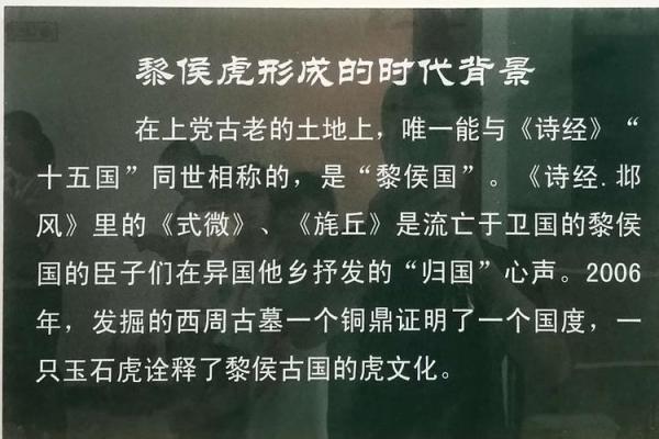 74年腊月虎命解析：智慧与勇气的完美结合，开启人生的新篇章