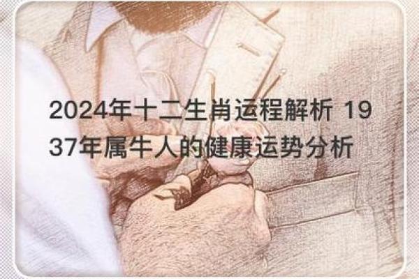 2024年属牛人的命运分析与运势指南