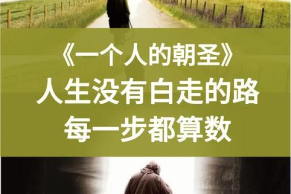 解析没有孩子的命运：人生的另一种可能性与价值