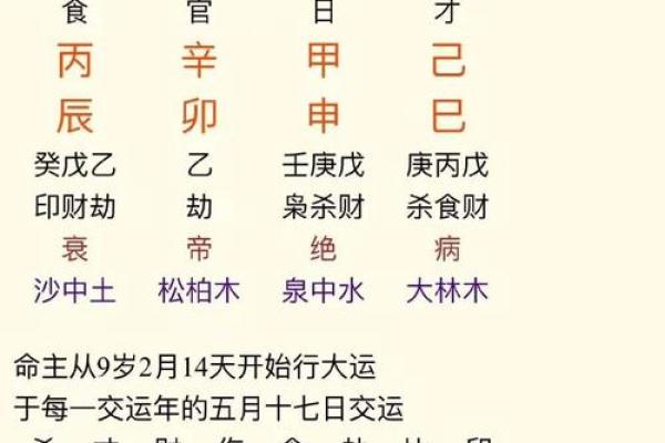 揭示命格之谜：生辰八字与命运的精彩关联