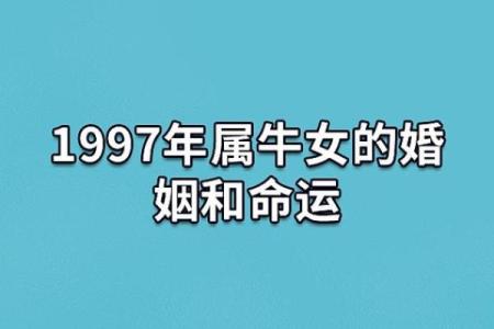 1973年属牛女性的命运特点与生活智慧