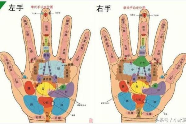 揭示姥姥命理的神秘面纱：解析她的生命轨迹与智慧