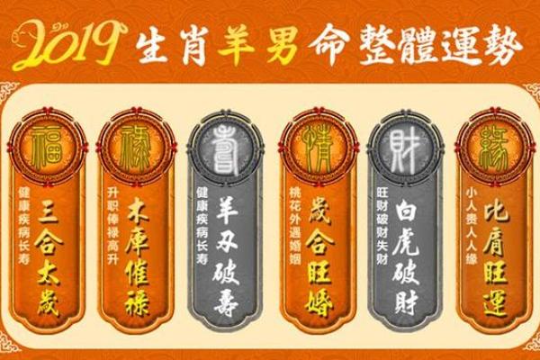 2003年金羊的命运与性格解析：揭开金羊的神秘面纱