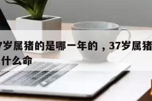 1994年属猪命理解析：如何利用优势实现人生理想