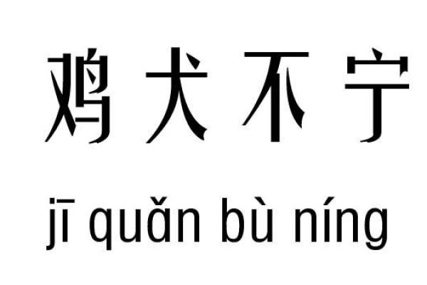 从命理角度看，哪些人不宜养狗狗？