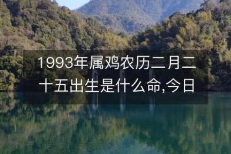 1993年出生者：命理解读与个人发展之路