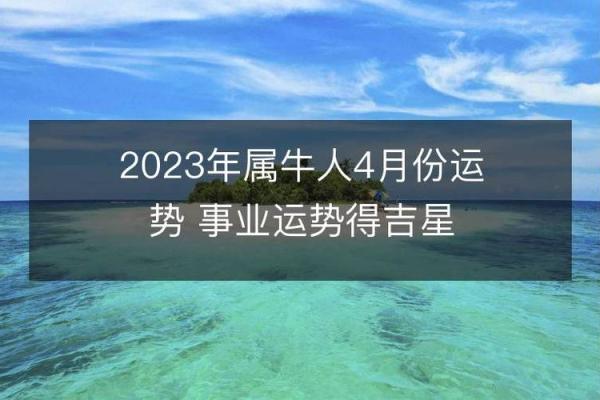 1997年牛命缺什么？解读牛年命理与性格特征