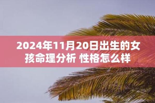 明年出生的孩子命运解析：探索不同出生月份的命理特点