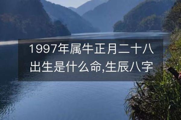 1983农历二月出生人的命运与运势浅析