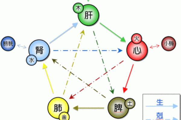 揭开石榴木命的神秘面纱：与其相生的五行秘笈