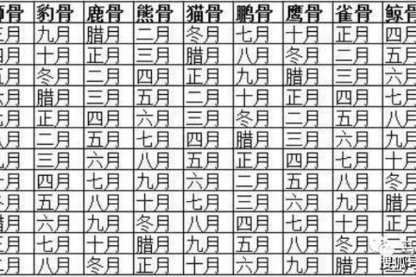 揭秘骨重5.2的命运：命理与生活的深刻联系