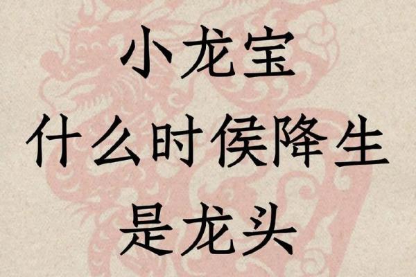 1988年龙宝宝的命运解析：如何迎接人生的挑战与机遇