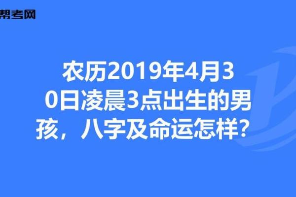 2025年：探索属于马命的辉煌与挑战，马年的际遇与命运解析