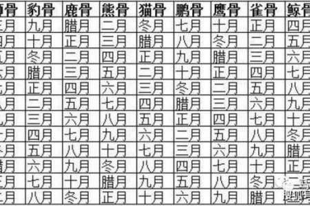 揭秘骨重5.2的命运：命理与生活的深刻联系