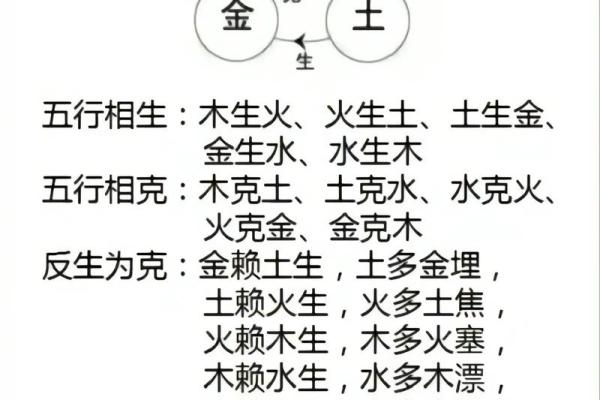 1986年出生的人命运分析：揭示你的生肖与五行奥秘