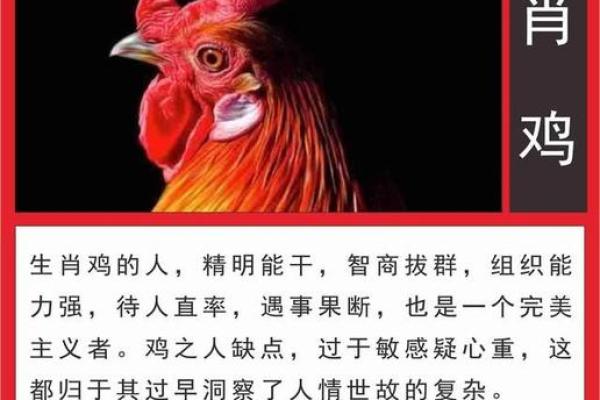 32年属鸡的命运解析：揭示你的未来之路与性格特点