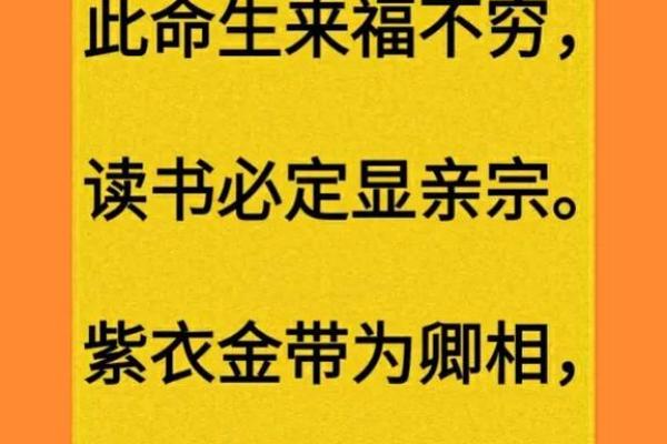 2023年小兔命理解析：迎接好运与成长的契机