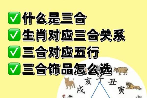 木命水鼠戴什么饰品更能提升运势？必看指南！